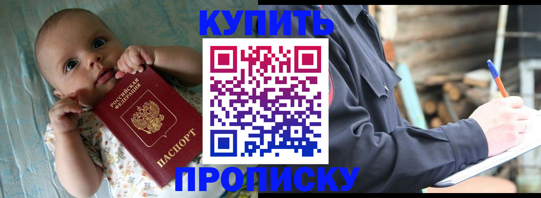 прописка поиск в Тынде